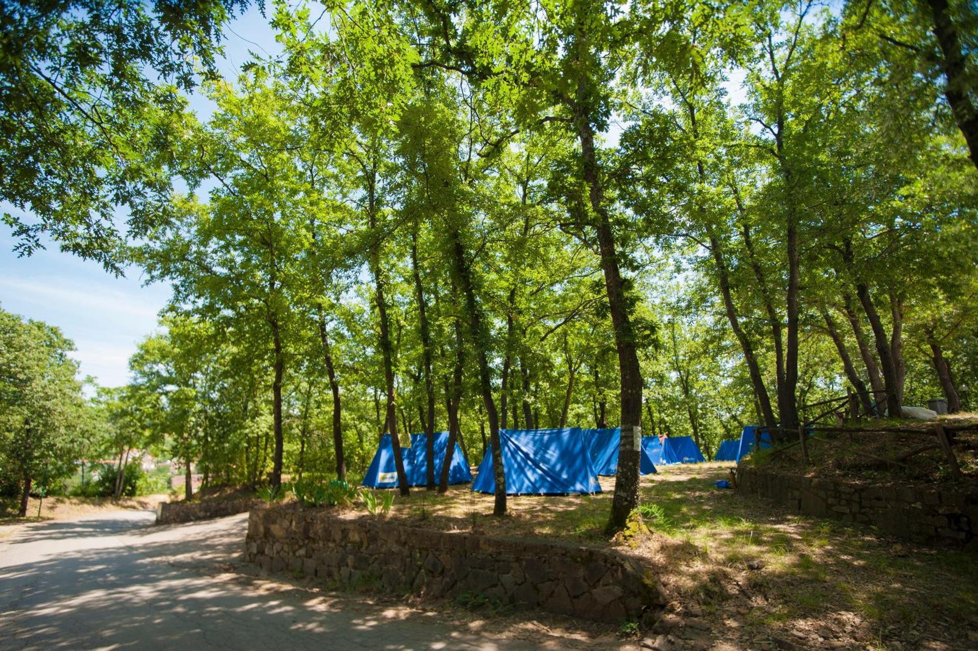 Hu Firenze Certosa Camping In Town Impruneta Exterior photo
